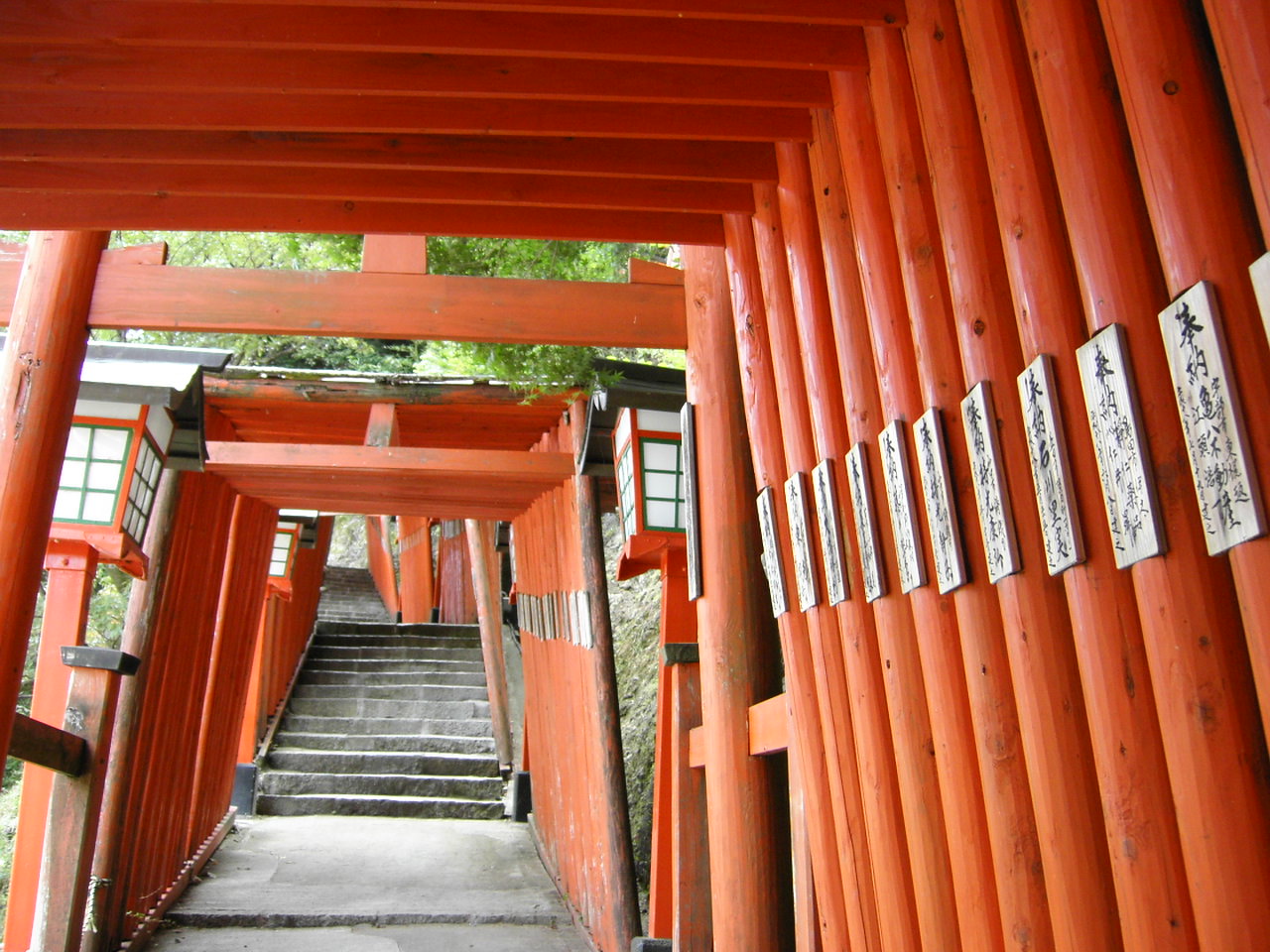 太鼓谷稲成神社 千本鳥居のトンネルは絶景 津和野のパワースポット 開運に導くおすすめパワースポット最新情報
